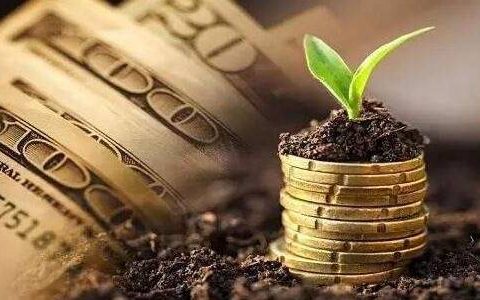 期货直播，寰宇视角一网打尽