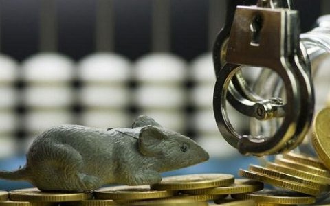 大炮期货直播：实时解析行情走势